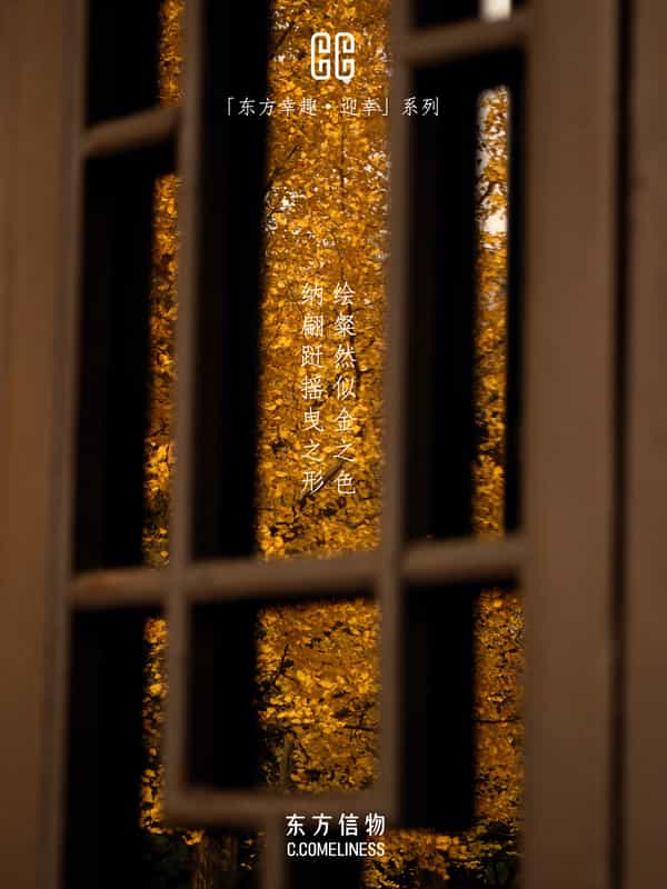 迎幸，银杏，历史文化，东方溯源