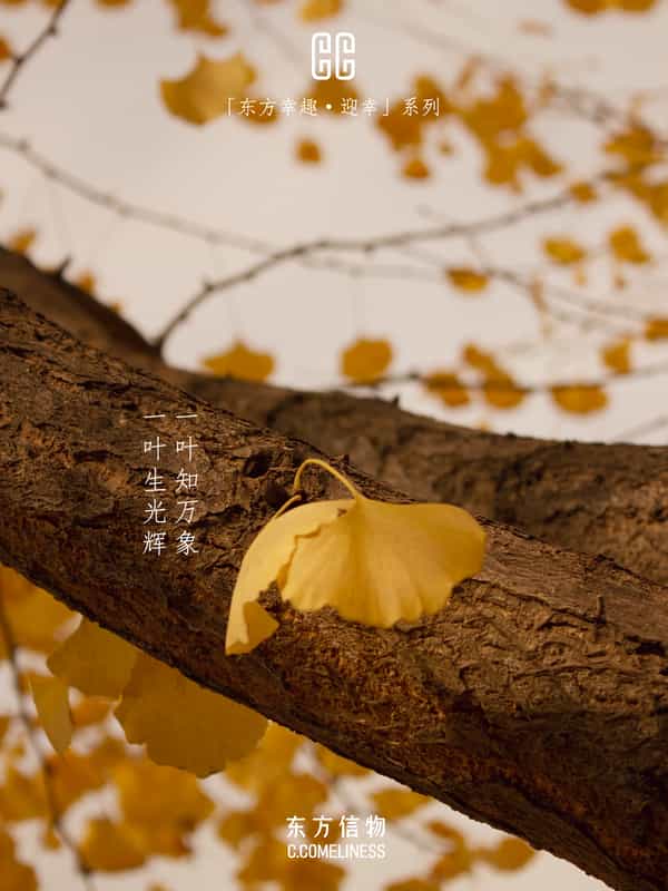 迎幸，银杏，历史文化，东方溯源