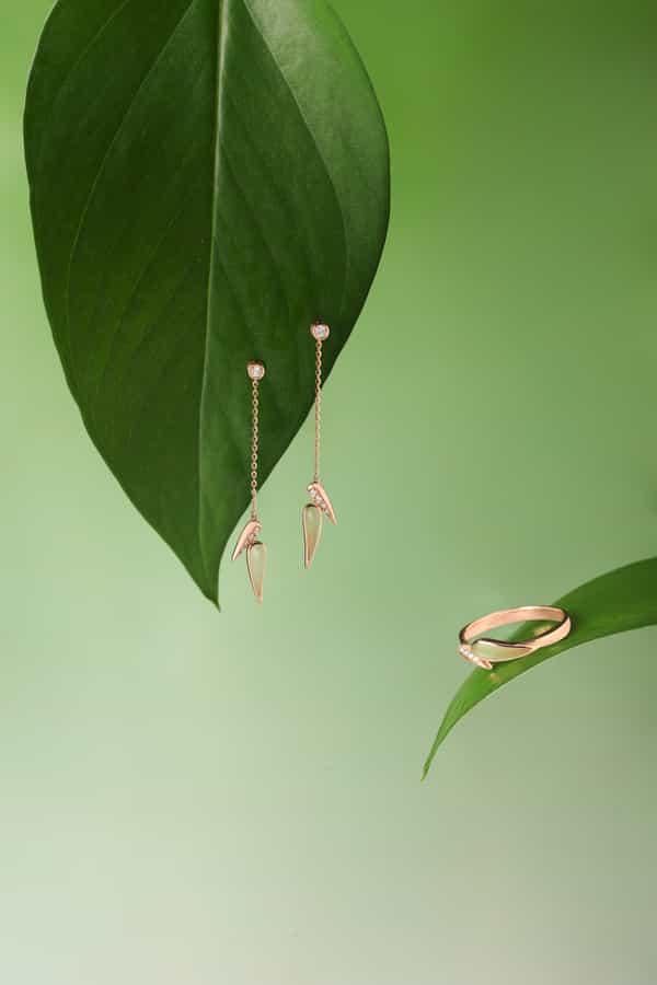 点亮，静物图，爱与自由，海豚