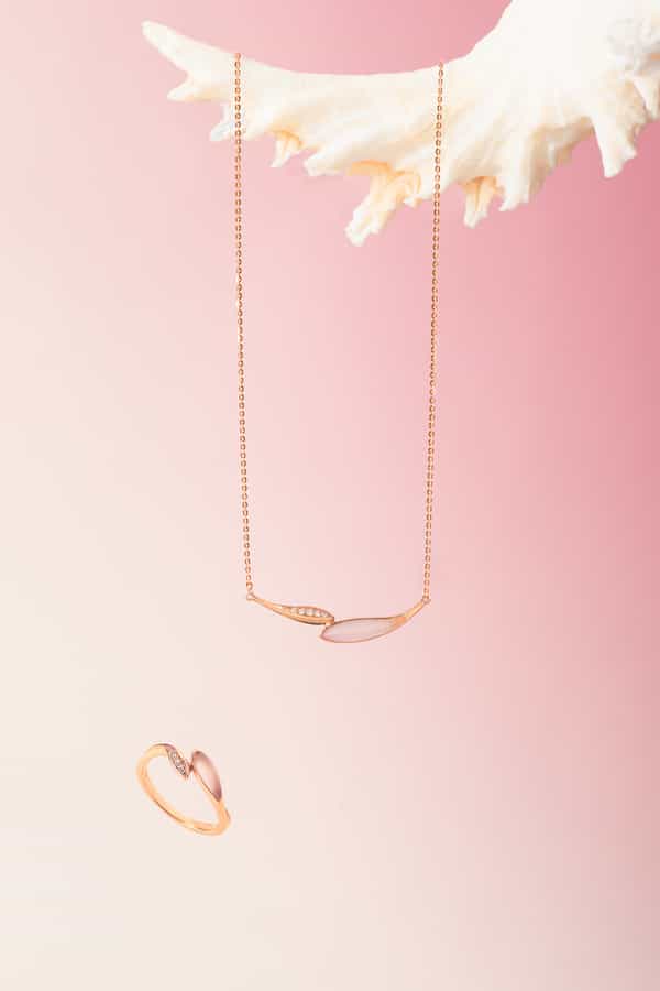 点亮，静物图，爱与自由，海豚