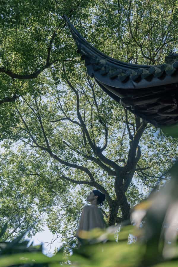 亭，沧浪亭，历史文化，东方溯源