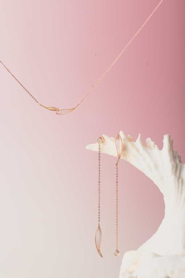 点亮，静物图，爱与自由，海豚