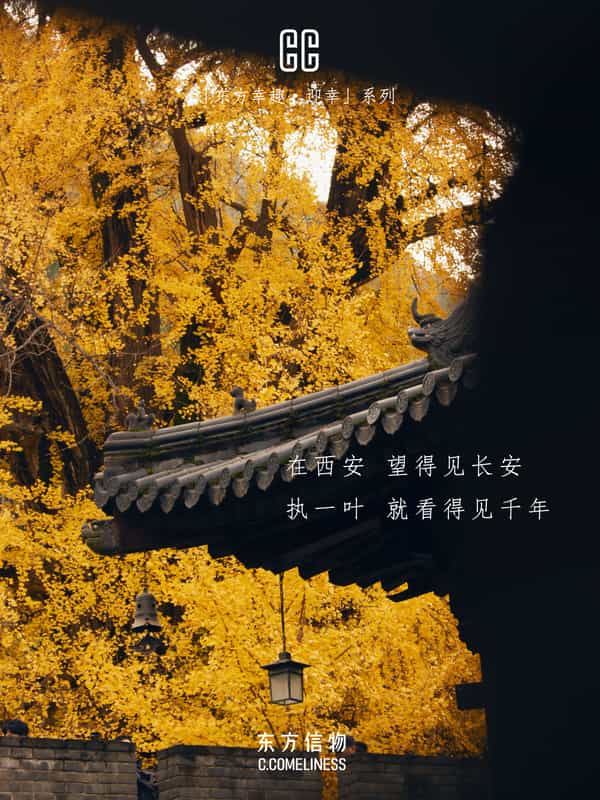 迎幸，银杏，历史文化，东方溯源