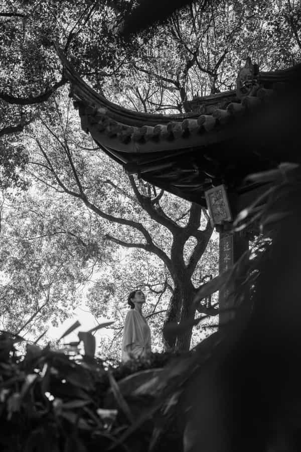 亭，沧浪亭，历史文化，东方溯源