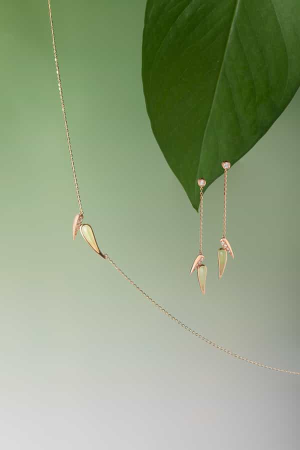 点亮，静物图，爱与自由，海豚