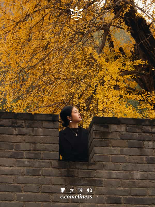 迎幸，银杏，历史文化，东方溯源